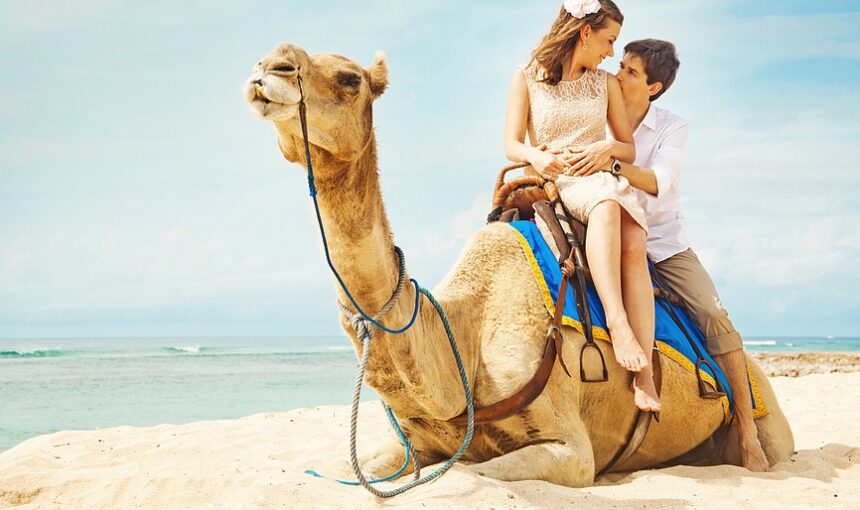 Top 10 Must-See Tourist Attractions in Agadir for First-Time Visitors