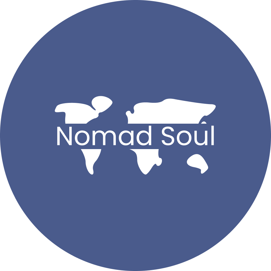Nomad Soul Trips